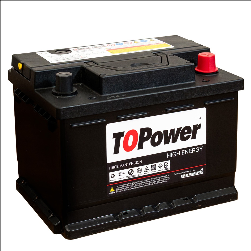 TOPOWER TP60D